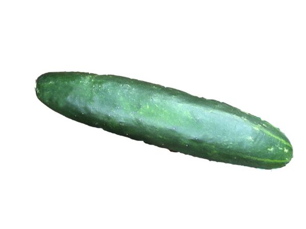 Comcombre Noa