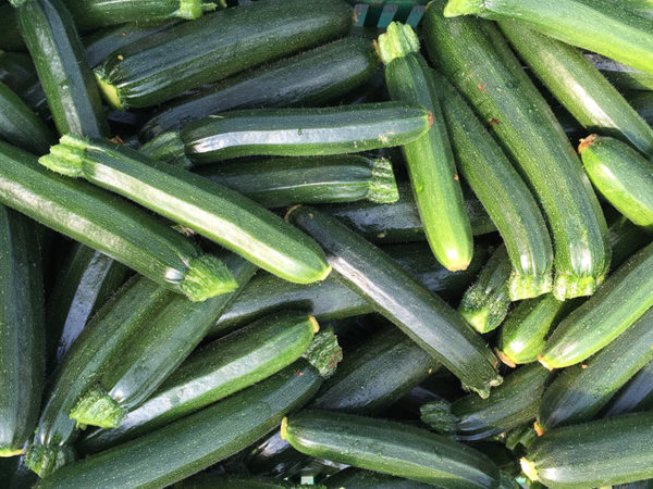 Courgette longue