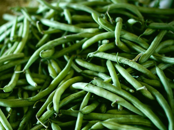 Haricots verts