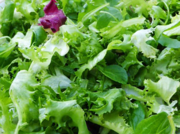 Salade Bio au poids
