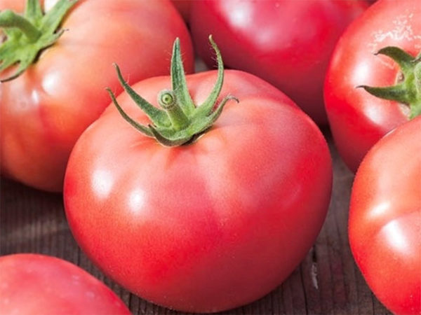 Tomate rose de Berne