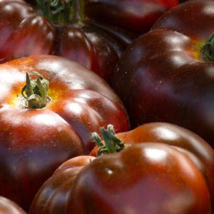 Tomate noire de Crimée Bio