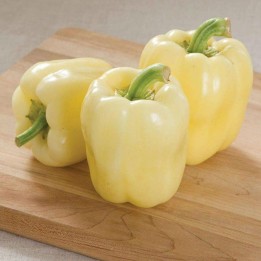 poivron blanc